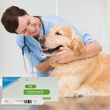 Do You Know Anything About Diseases in Pets?