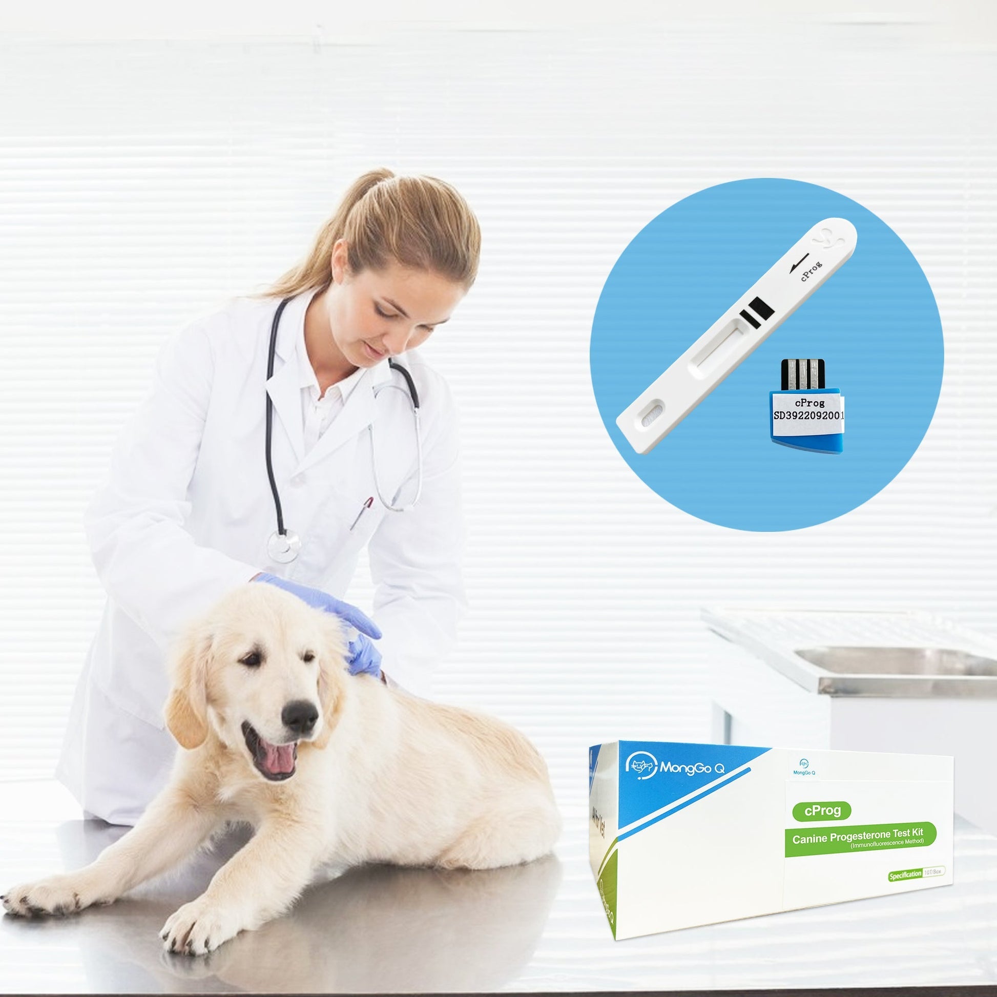 The Importance of Progesterone Testing in Pets