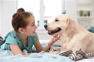 Dog Pregnancy Hormone Test - Advantages and Disadvantages of Urine Testing