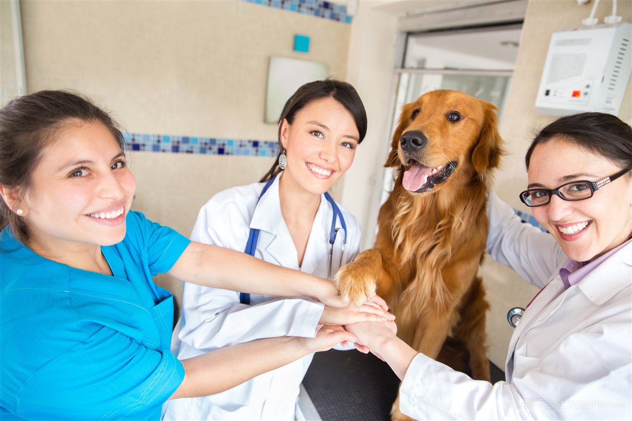 Daily Care at Pet Fertility Institutions