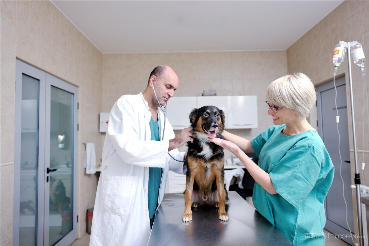 INDEED, THE DIAGNOSIS OF PREGNANCY IN DOGS INVOLVES MULTIPLE TECHNIQUES, EACH WITH ITS OWN ADVANTAGES AND LIMITATIONS DEPENDING ON THE GESTATIONAL STAGE AND INDIVIDUAL CIRCUMSTANCES.